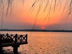 -丁香湖公园