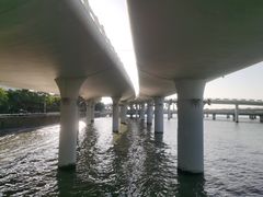 -演武大桥观景平台