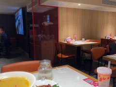 -杨氏青龙虾·羊蝎子(托乐嘉店)