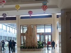 -兴芮温泉度假区