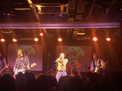 -坚果NUTS