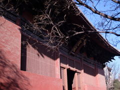 -善化寺