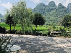 -村上春树