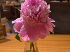 -山茶云南菜(永安里店)