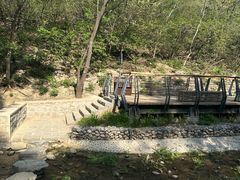 -白水寺森林公园