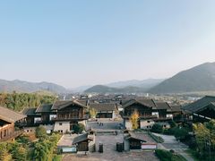 -大唐贡茶院