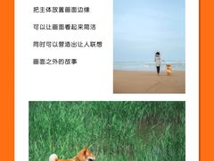 -CGWANG王氏教育(上海校区)