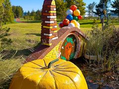 -羊亭河湿地公园