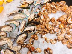 -威珀斯酒店·珀萃美食餐厅 | 海鲜刺身·现烤生蚝·特色烤肉