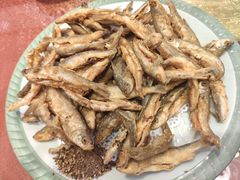 -赵记煎饼卷大葱(泰山大街店)