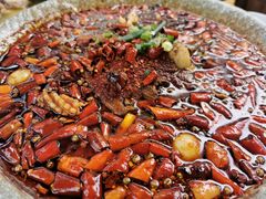 -青城甲(青城山店)