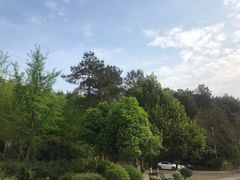 -铁山坪森林公园