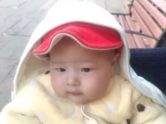 -鲍国演义(禅城店)