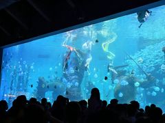 -哈尔滨波塞冬海底世界