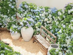 -自由生长植物工作室(深港花卉中心店)