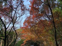 -汇龙潭