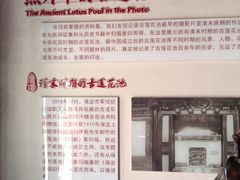 -莲池书院博物馆