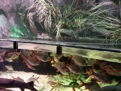 -太平洋海底世界