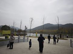 -千年银杏谷文化旅游区