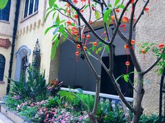 -潮隐·东园现代潮菜