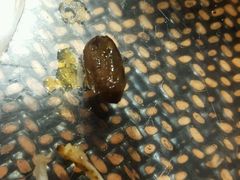 -锦尚阁烤鱼•天津菜(宣武门胡同店)