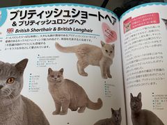 -爱妮康宠物医院·干细胞免疫细胞·肿瘤·心脏(张江店)