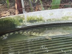 -呀路古热带植物园