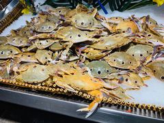 -吉布鲁牛排海鲜自助(CBD万达店)