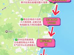 -日照海滨国家森林公园