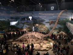 景点-自贡恐龙博物馆