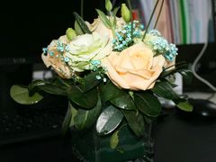 -双季花艺园艺市场(浦东店)