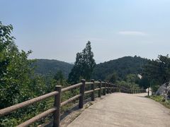 -府君山公园