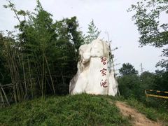 -习家池
