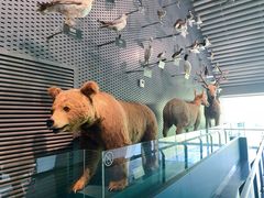 -中国湿地博物馆