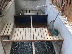 -丹江渔村(首都机场店)