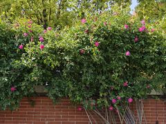 -上海交通大学(闵行校区)