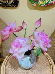 -小颜秘家·韩国整骨