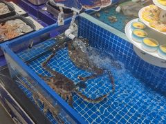 -青岛蓝海大饭店·渔歌舫(李沧店)