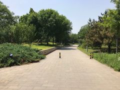-望湖公园