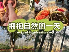 -合肥滨湖国家森林公园