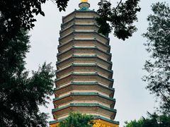 -八大处公园