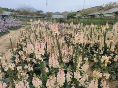 -盈香心动乐园