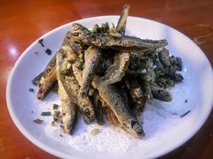 -全乐鱼馆·淳牌有机鱼直营店