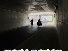 -庄怡公园