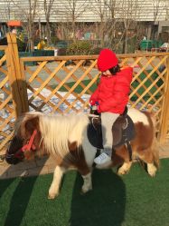 -萌宠亲子动物乐园(槐房万达店)