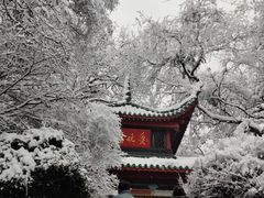 -茶颜悦色(登高路上店)