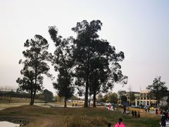 -两河城市森林公园