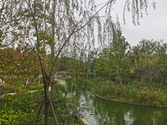 -中山公园