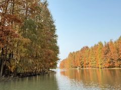 -上海海湾国家森林公园