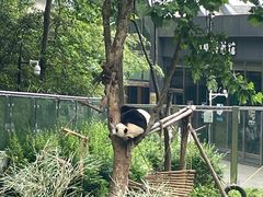 -黔灵山公园